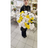 Букет из 11 Хризантем кустовых белых и желтых