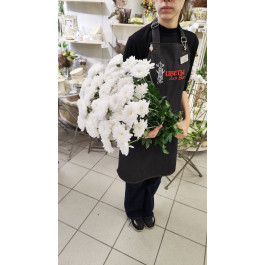 Букет из 13 Хризантем кустовых Белых