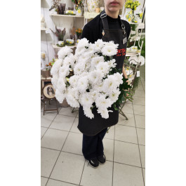 Букет из 15 Хризантем кустовых белых