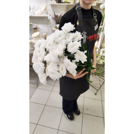 Букет их 9 Хризантем кустовых белых