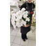 Букет их 9 Хризантем кустовых белых